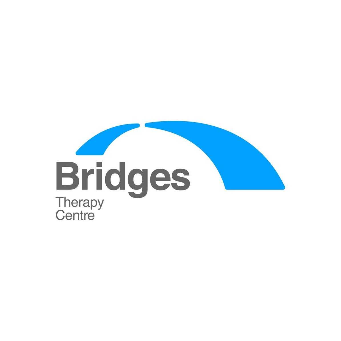 Bridges Therapy Centre